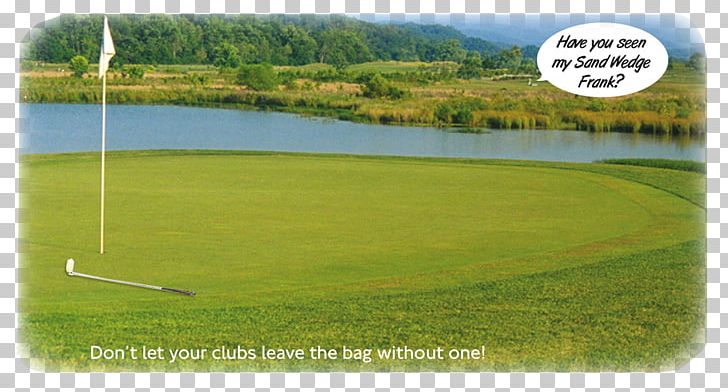 Pitch And Putt Golf Clubs Golf Course Wood PNG, Clipart, Bag, Golf, Golf Club, Golf Clubs, Golf Course Free PNG Download