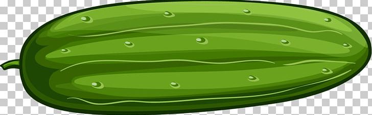 Cucumber Bitter Melon Cartoon PNG, Clipart, Background , Balloon Cartoon, Bitter, Bitter Vector, Boy Cartoon Free PNG Download