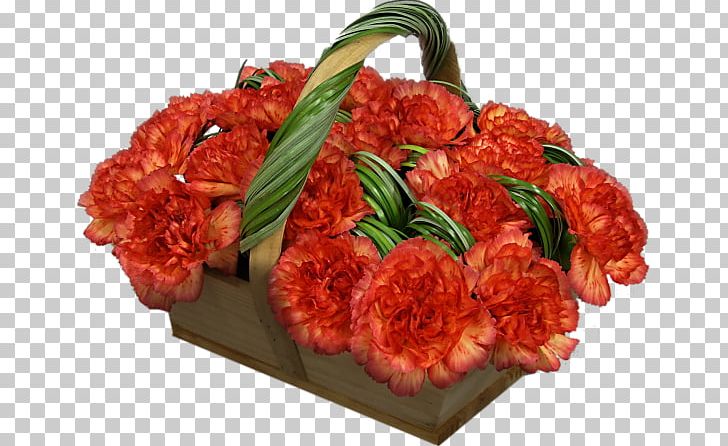 Red Meat Cut Flowers Web Hosting Service PNG, Clipart, Accommodation, Basket, Carnation, Carnations, Cut Flowers Free PNG Download
