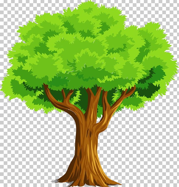 Tree PNG, Clipart, Branch, Document, Download, Grass, Leaf Free PNG Download