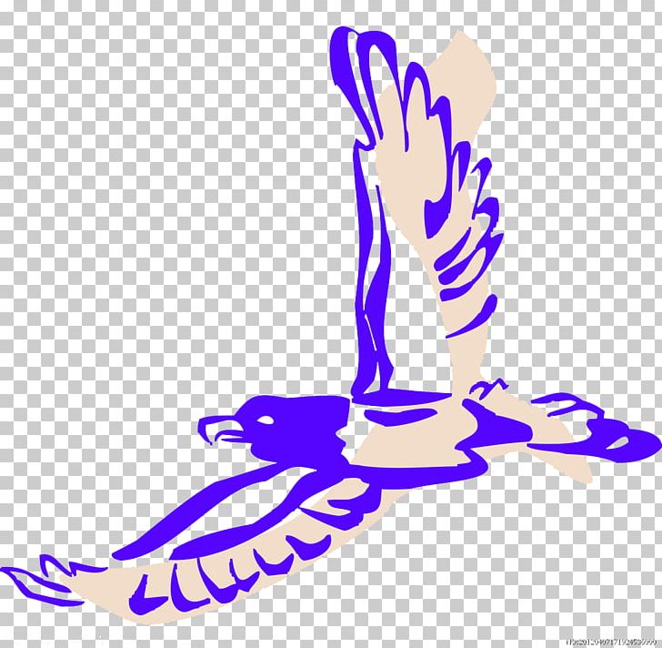 Hawk Eagle Vulture PNG, Clipart, Animals, Animation, Area, Art, Blue Free PNG Download