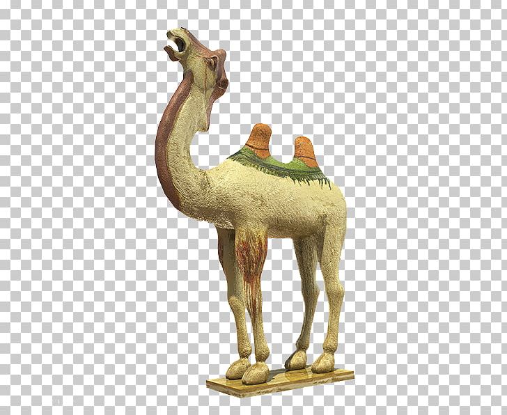 Dromedary One Belt One Road Initiative Silk Road PNG, Clipart, Camel, Cooperation, Development, Fauna, Jade Free PNG Download