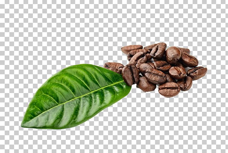 Instant Coffee Espresso Ipoh White Coffee Coffee Bean PNG, Clipart, Bean, Beans, Burr Mill, Cocoa Bean, Coffea Free PNG Download