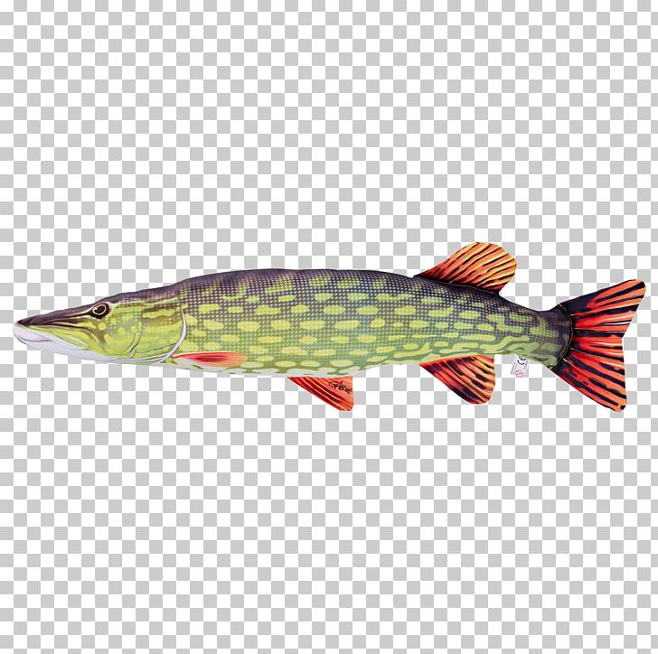 Northern Pike Salmon 09777 Perch Pikes PNG, Clipart, 09777, Bony Fish, Cod, Fish, Northern Pike Free PNG Download