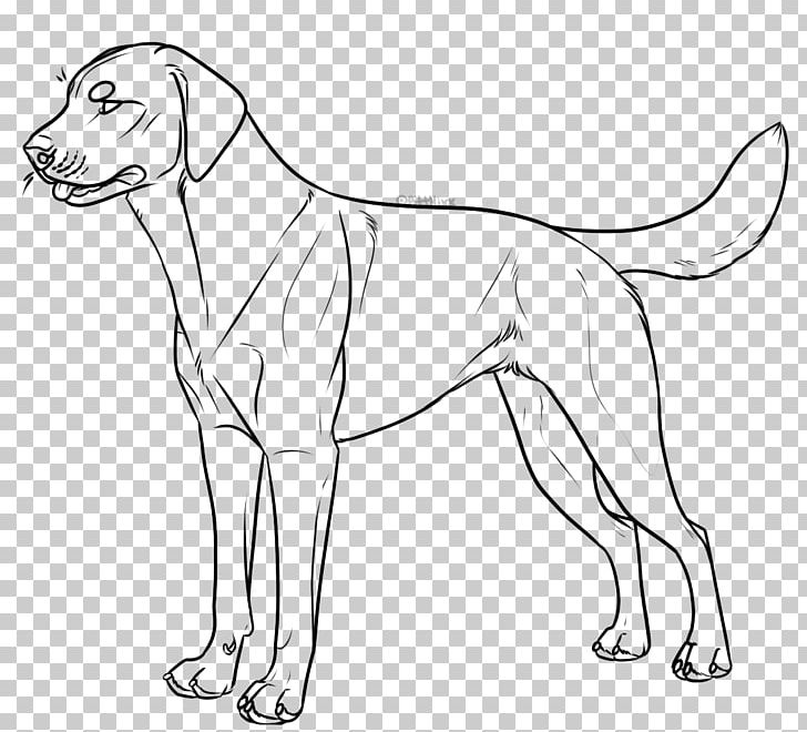 Dog Breed Labrador Retriever Line Art Dog Harness Collar PNG, Clipart, Animation, Artist, Artwork, Black And White, Breed Free PNG Download