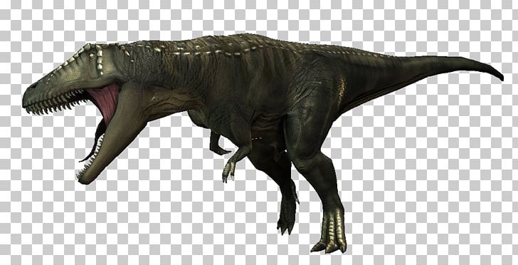 Tyrannosaurus Carcharodontosaurus Giganotosaurus Spinosaurus Acrocanthosaurus PNG, Clipart, Animal Figure, Ankylosaurus, Carcharodontosaurus, Carnivore, Dinosaur Free PNG Download