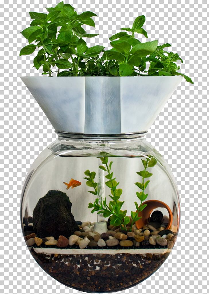 Aquaponics Hydroponics Aquaponic Gardening: A Step-By-Step Guide To Raising Vegetables And Fish Together Aquarium PNG, Clipart, Agriculture, Aquaponics, Aquarium, Aquarium Fish Feed, Ecosystem Free PNG Download