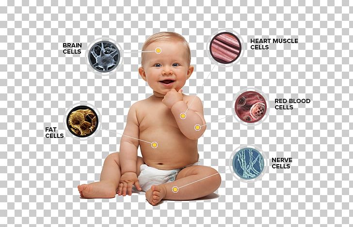 Diaper Infant Child PNG, Clipart, Body, Boy, Child, Child Care, Child Development Free PNG Download