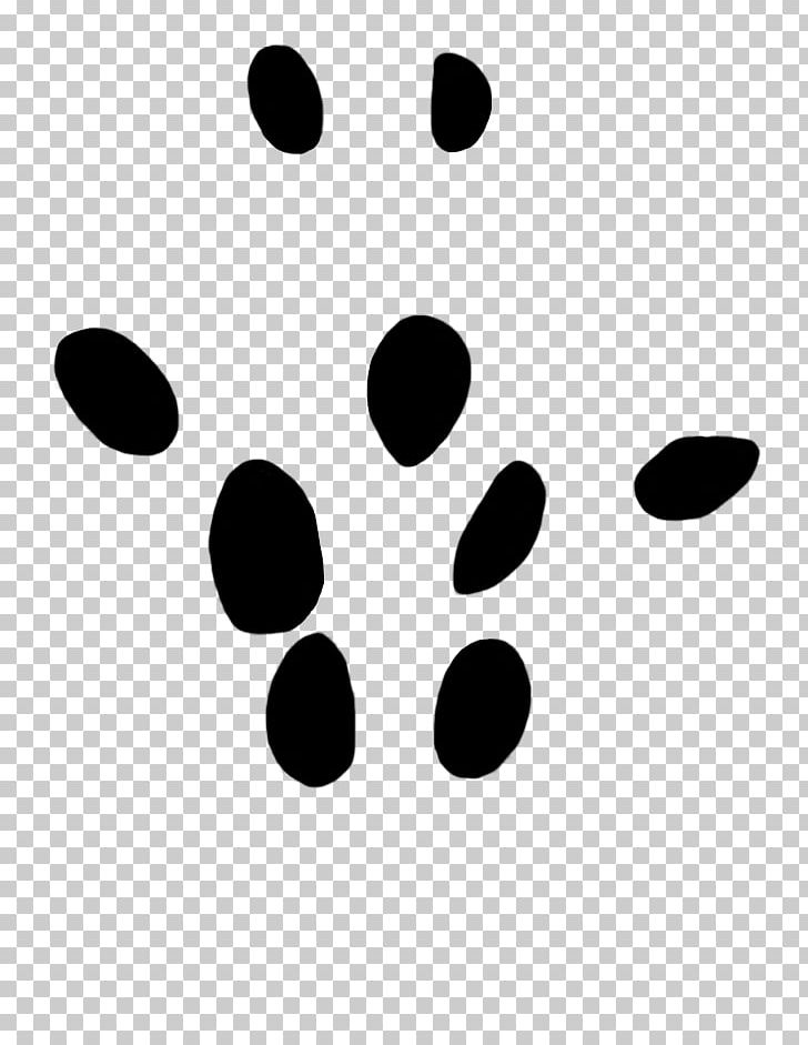 Paw Tiger Dog Moles PNG, Clipart, Animals, Animal Track, Black, Black And White, Circle Free PNG Download