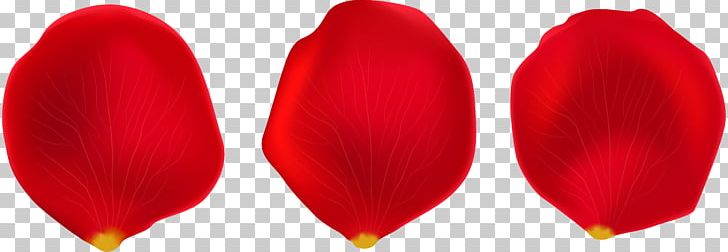 Petal PNG, Clipart, Computer Animation, Flower, Miscellaneous, Others, Petal Free PNG Download
