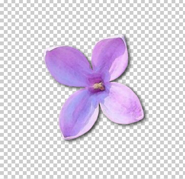 Lilac Violet PNG, Clipart, Baku Flower Festival, Clip Art, Flower, Lila, Lilac Free PNG Download