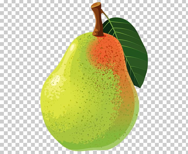 Pear Food PNG, Clipart, Amygdaloideae, Apple, Bosc Pear, Diet Food, Drawing Free PNG Download