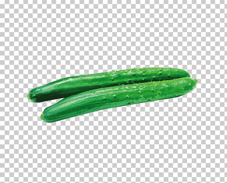 Pickled Cucumber Vegetable PNG, Clipart, Cucumber, Cucumber Gourd And Melon Family, Cucumber Slices, Cucumis, Download Free PNG Download