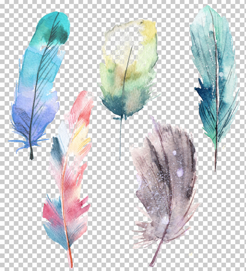 Feather PNG, Clipart, Feather, Grass, Leaf, Plant, Quill Free PNG Download