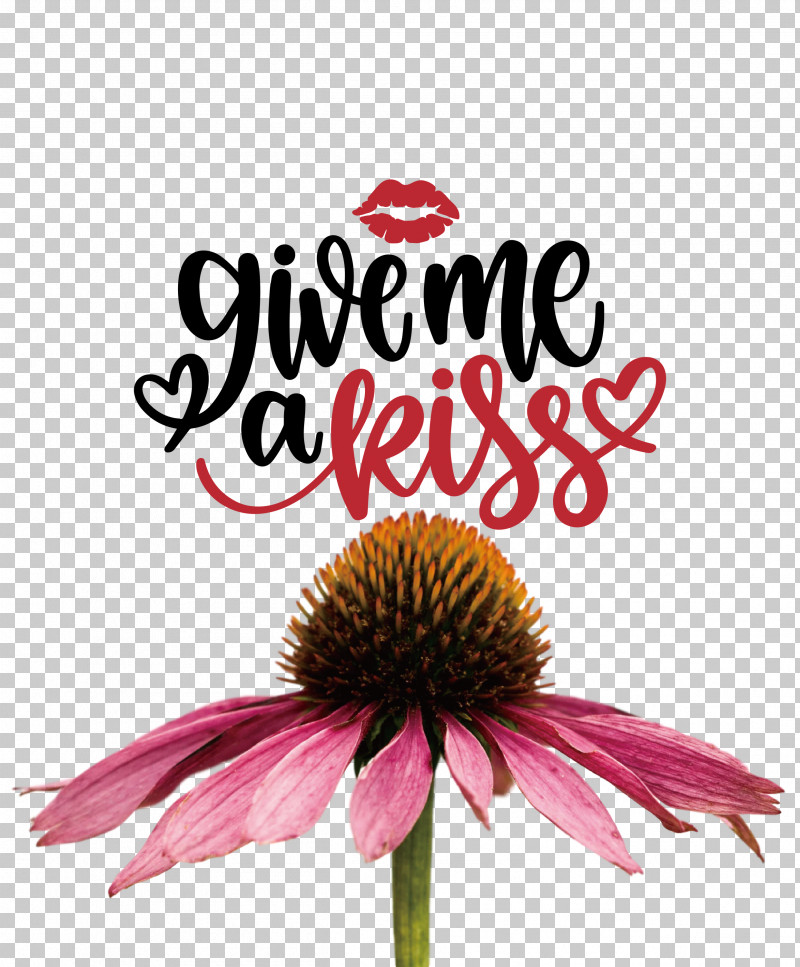 Give Me A Kiss Valentines Day Love PNG, Clipart, Biology, Coneflower, Cut Flowers, Flower, Kiss Free PNG Download