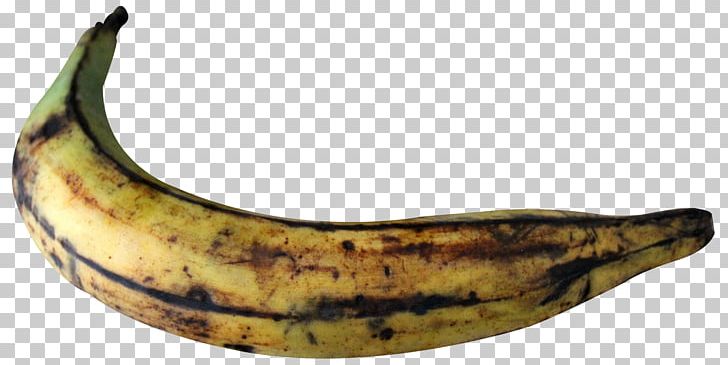 Cooking Banana PNG, Clipart, Banana, Banana Family, Cooking, Cooking Banana, Cooking Plantain Free PNG Download