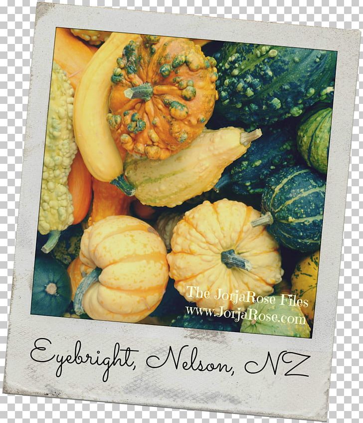 Pumpkin 3 Little Letters Winter Squash Gourd Food PNG, Clipart, Birthday, Calabaza, Couple Driver Lovely, Cucurbita, Enchanted Cottage Free PNG Download