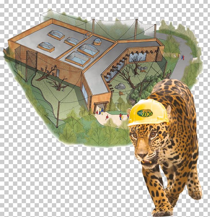 Tiger Trail Of The Jaguar Elmwood Park Zoo PNG, Clipart, Animal, Animals, Architectural Engineering, Big Cats, Building Free PNG Download