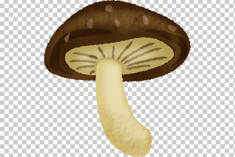 Agaricus PNG, Clipart, Agaricus Free PNG Download