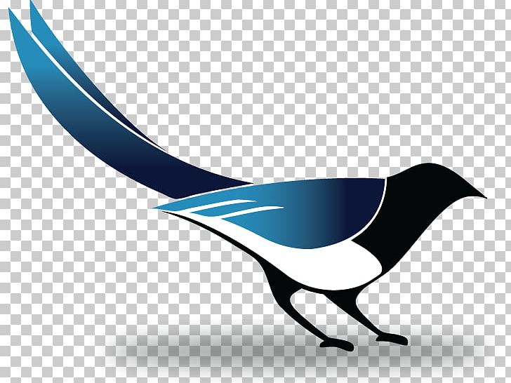 Beak Cobalt Blue Line PNG, Clipart, Art, Beak, Bird, Blue, Cobalt Free PNG Download