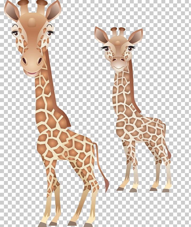 Northern Giraffe Leopard Animal About Giraffes PNG, Clipart, About Giraffes, Animal, Animal Figure, Animals, Clip Art Free PNG Download