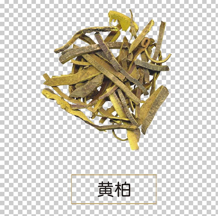 Phellodendron Amurense Phellodendron Chinense Dietary Supplement Huáng Bǎi Extract PNG, Clipart, Bark, Berberine, Brass, Dietary Supplement, Material Free PNG Download