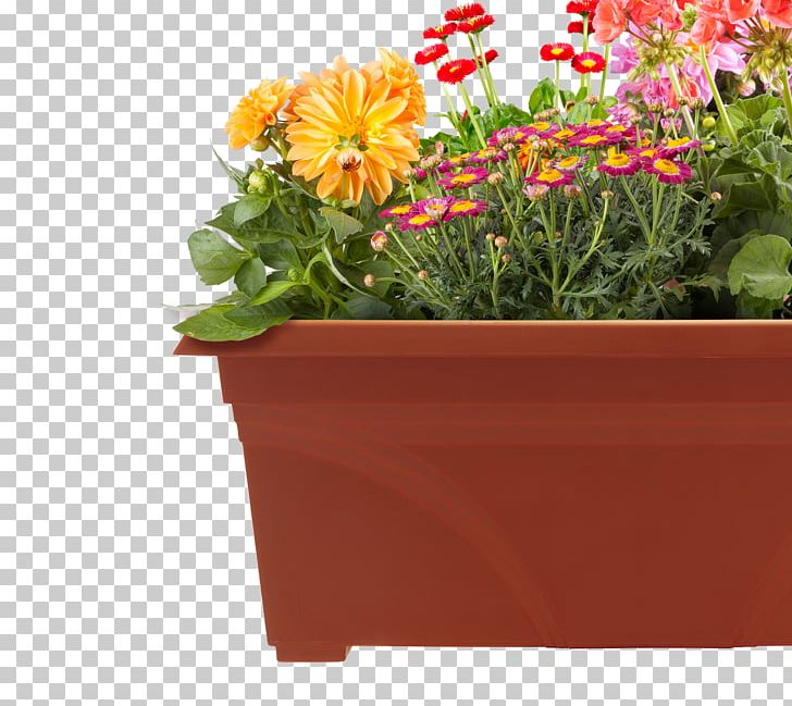 Amazon.com Flowerpot Container Garden PNG, Clipart, Amazoncom, Annual Plant, Bedding, Container Garden, Cut Flowers Free PNG Download