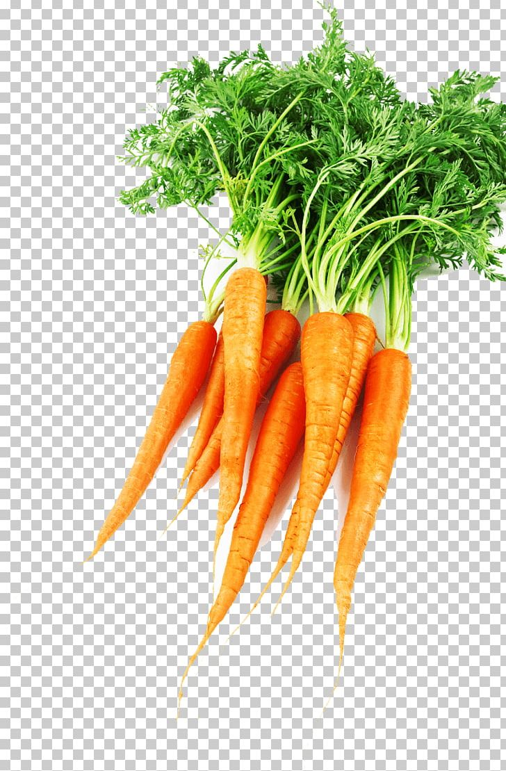 Baby Carrot Supergezond: 64 Supergezonde Recepten Food Medical Diagnosis Physician PNG, Clipart, Baby Carrot, Carrot, Food, Local Food, Medical Diagnosis Free PNG Download