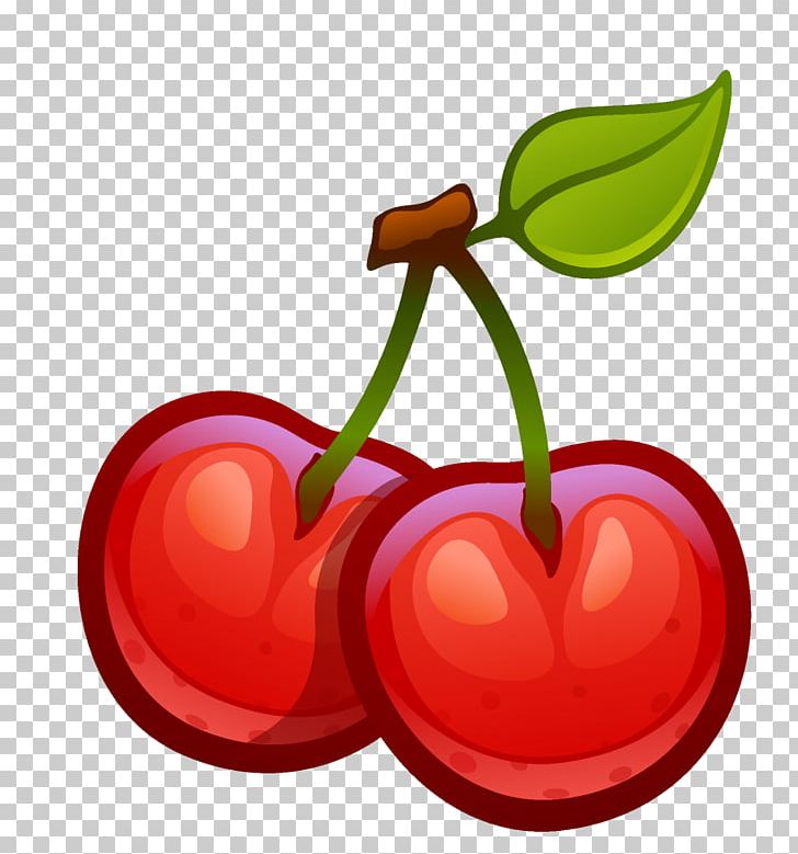 Cerasus Cherry Drawing PNG, Clipart, Apple, Auglis, Berry, Cerasus, Cherry Free PNG Download