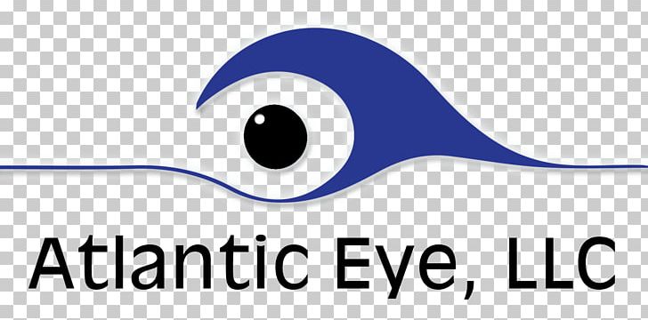 Human Eye Eye Care Professional Eye Color PNG, Clipart, Artwork, Atlantic Eye, Beak, Blue, Brand Free PNG Download