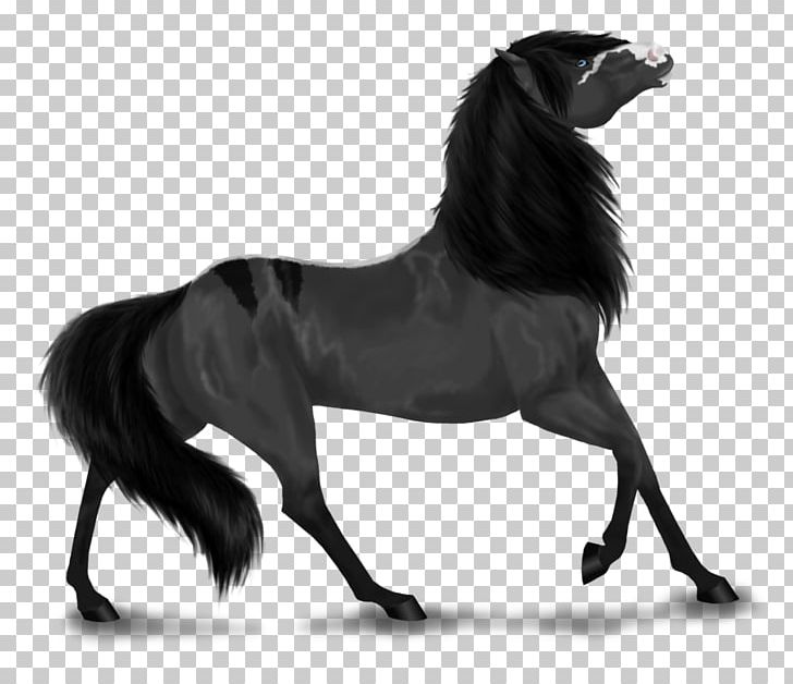Mane Mustang Stallion Bridle Halter PNG, Clipart, Black, Black And White, Black M, Fictional Character, Head Free PNG Download