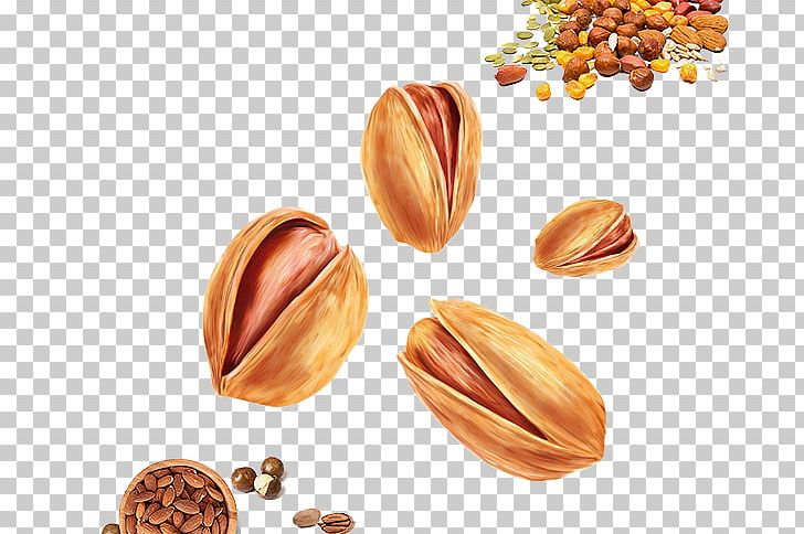 Pistachio Walnut Food PNG, Clipart, Almond Nut, Auglis, Cashew Nuts, Dessert, Dried Free PNG Download
