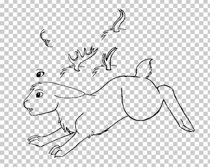 Rabbit Hare Whiskers Line Art Sketch PNG, Clipart, Angle, Animals, Arm, Black, Branch Free PNG Download