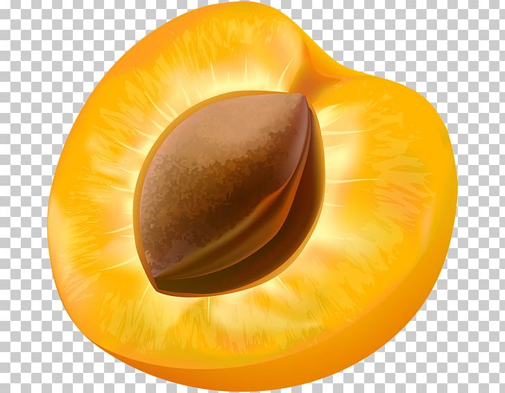 Apricot Fruit PNG, Clipart, Apricot, Clip Art, Computer, Computer Icons, Desktop Wallpaper Free PNG Download