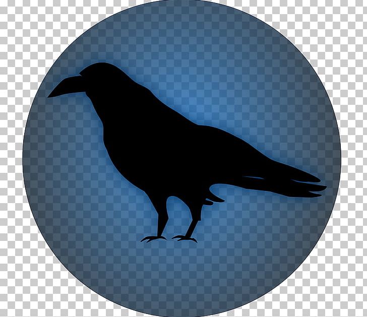 Computer Icons Common Raven PNG, Clipart, American Crow, Beak, Bird, Common Raven, Computer Icons Free PNG Download