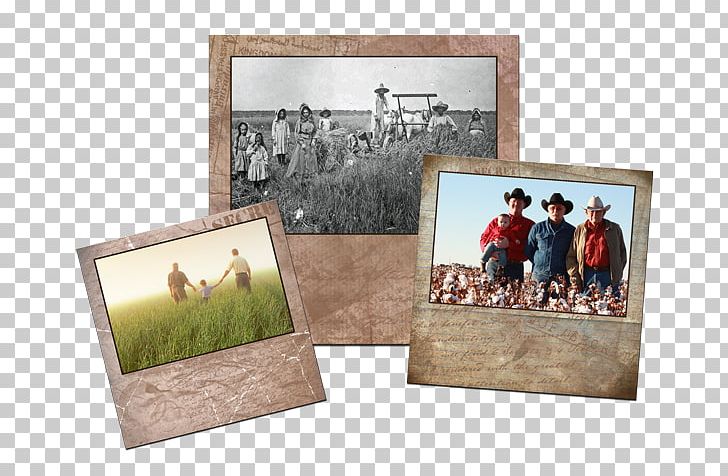Farm Bayer Museum Of Agriculture Frames PNG, Clipart, Bayer Museum Of Agriculture, Box, Farm, Museum, Others Free PNG Download