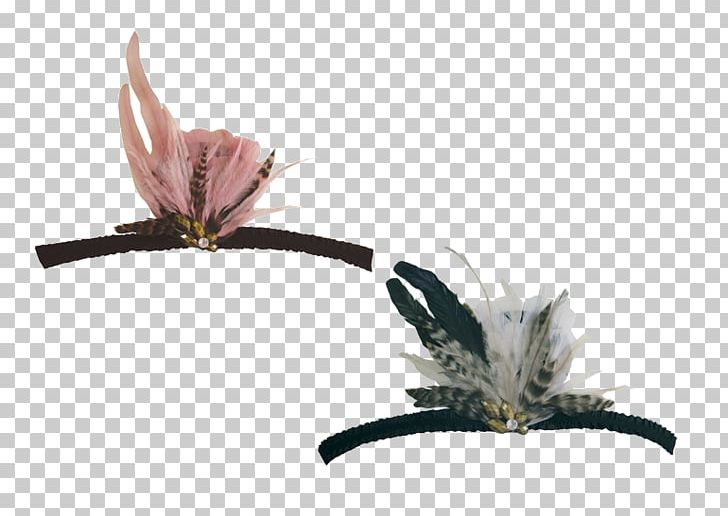 Flower PNG, Clipart, Diadem, Flower, Insect, Nature, Plant Free PNG Download