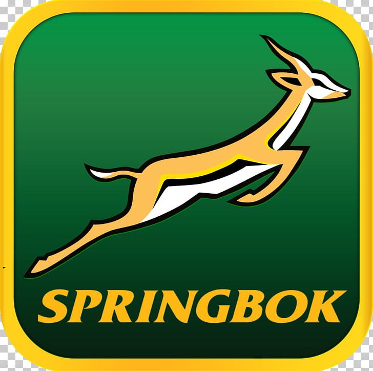 South Africa National Rugby Union Team 2017 Rugby Championship South Africa National Rugby Sevens Team Rugby World Cup PNG, Clipart, 2017 Rugby Championship, Africa, Antelope, Antler, Area Free PNG Download