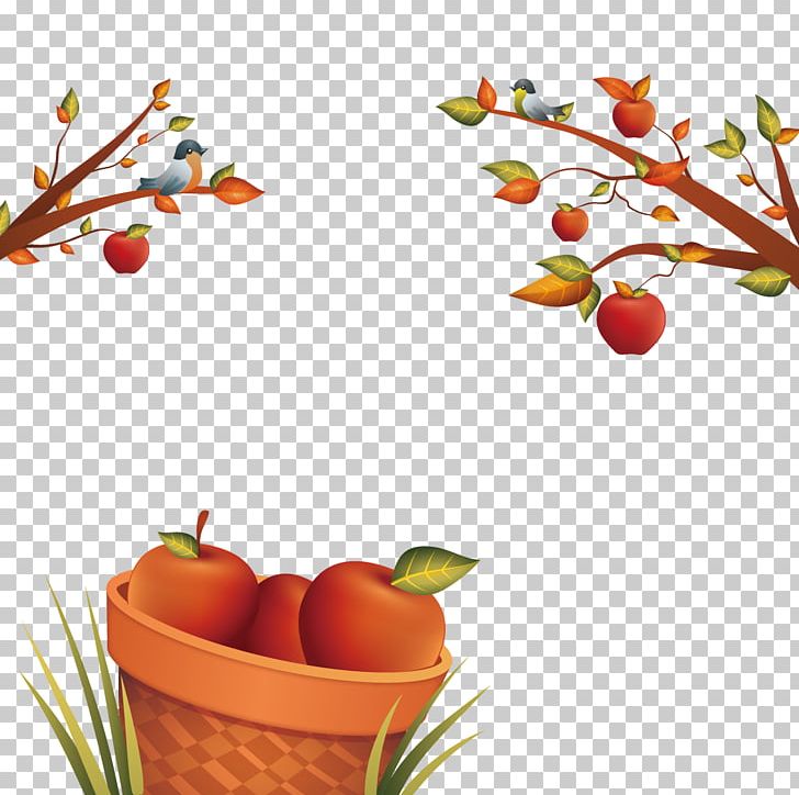 Apple PNG, Clipart, Adobe Illustrator, Apple Fruit, Apple Logo, Apple Tree, Apple Vector Free PNG Download
