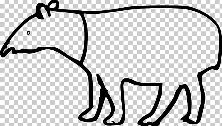 Drawing Malayan Tapir PNG, Clipart, Animal Figure, Animation, Area, Beak, Carnivoran Free PNG Download