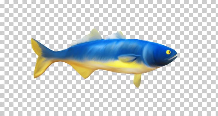 Marine Mammal Image File Formats Seafood PNG, Clipart, Blue Fish, Bony Fish, Desktop Wallpaper, Digital Image, Display Resolution Free PNG Download
