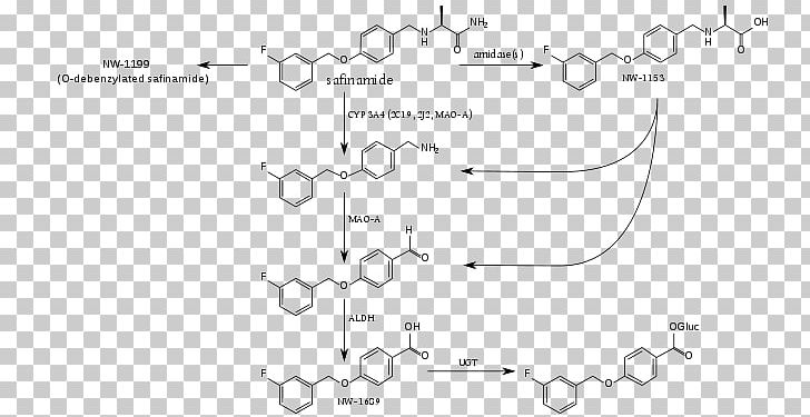 Safinamide Cytochrome P450 Metabolism Metabolite Enzyme PNG, Clipart, Angle, Area, Black And White, Circle, Cytochrome P450 Free PNG Download