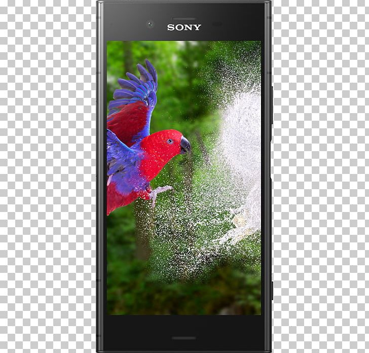 Sony Xperia XZ1 Compact Sony Xperia XA1 Sony Xperia P Sony Xperia XZ Premium PNG, Clipart, Bird, Cardinal, Electronics, Fauna, Flower Free PNG Download