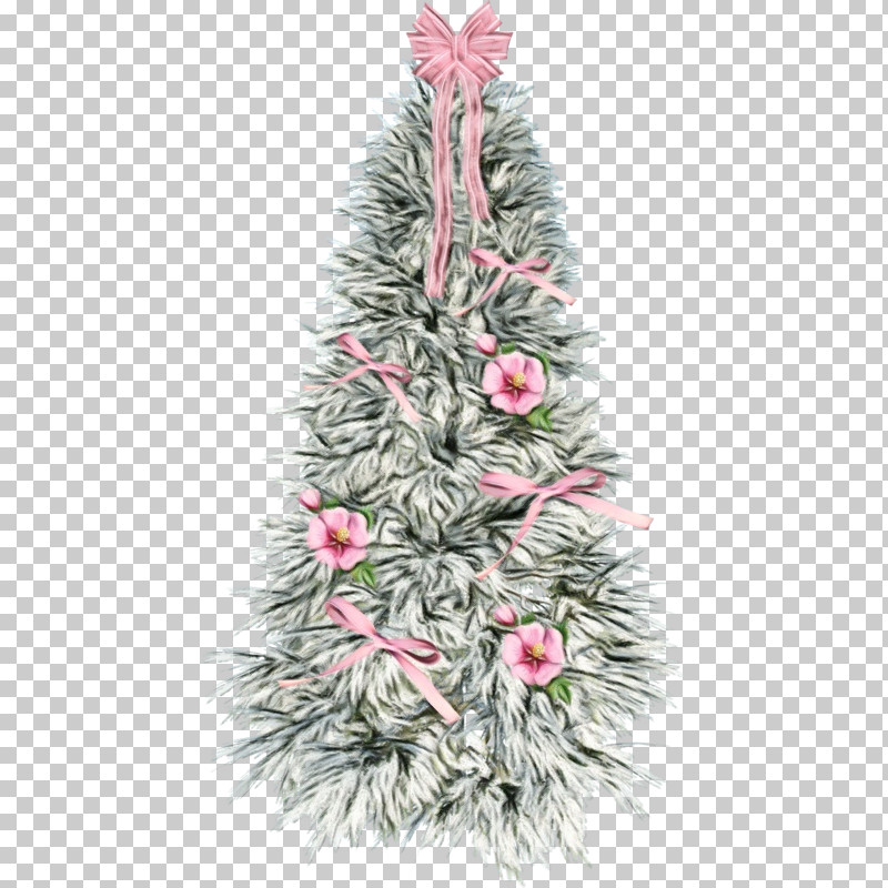 Colorado Spruce Oregon Pine Pink Plant Balsam Fir PNG, Clipart, Balsam Fir, Colorado Spruce, Flower, Oregon Pine, Paint Free PNG Download