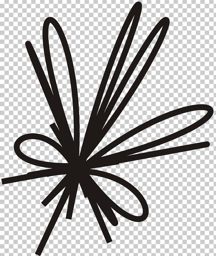 Angle White Leaf PNG, Clipart, Angle, Black And White, Bow Draw, Drawing, Flower Free PNG Download