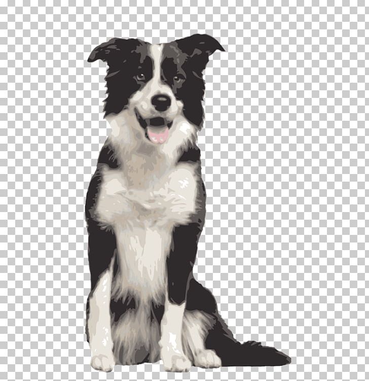 Border Collie Rough Collie Bearded Collie Dog Breed PNG, Clipart, Bearded Collie, Border Collie, Breed, Carnivoran, Circle Diagram Free PNG Download