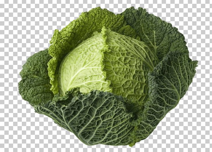 Savoy Cabbage Leaf Vegetable Broccoli PNG, Clipart, Broccoli, Brussels Sprout, Cabbage, Cauliflower, Collard Greens Free PNG Download