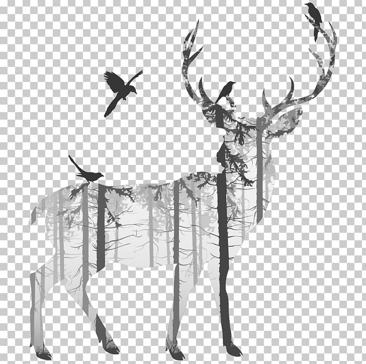 Deer Silhouette Drawing Photography PNG, Clipart, Ambiance Sticker, Animals, Antler, Art, Black And White Free PNG Download