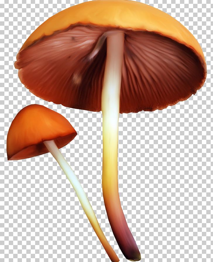 Edible Mushroom Fungus PNG, Clipart, Christmas, Edible Mushroom, Encapsulated Postscript, Fungus, Ingredient Free PNG Download