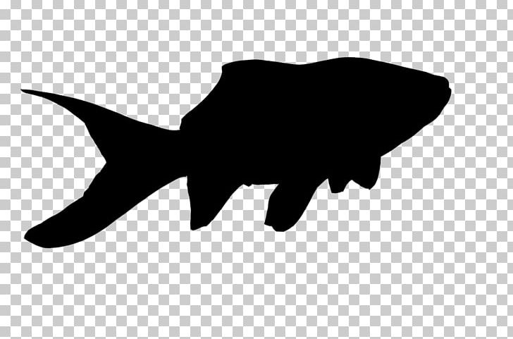 Goldfish Silhouette Drawing PNG, Clipart, Animal, Aquarium, Black, Black And White, Com Free PNG Download